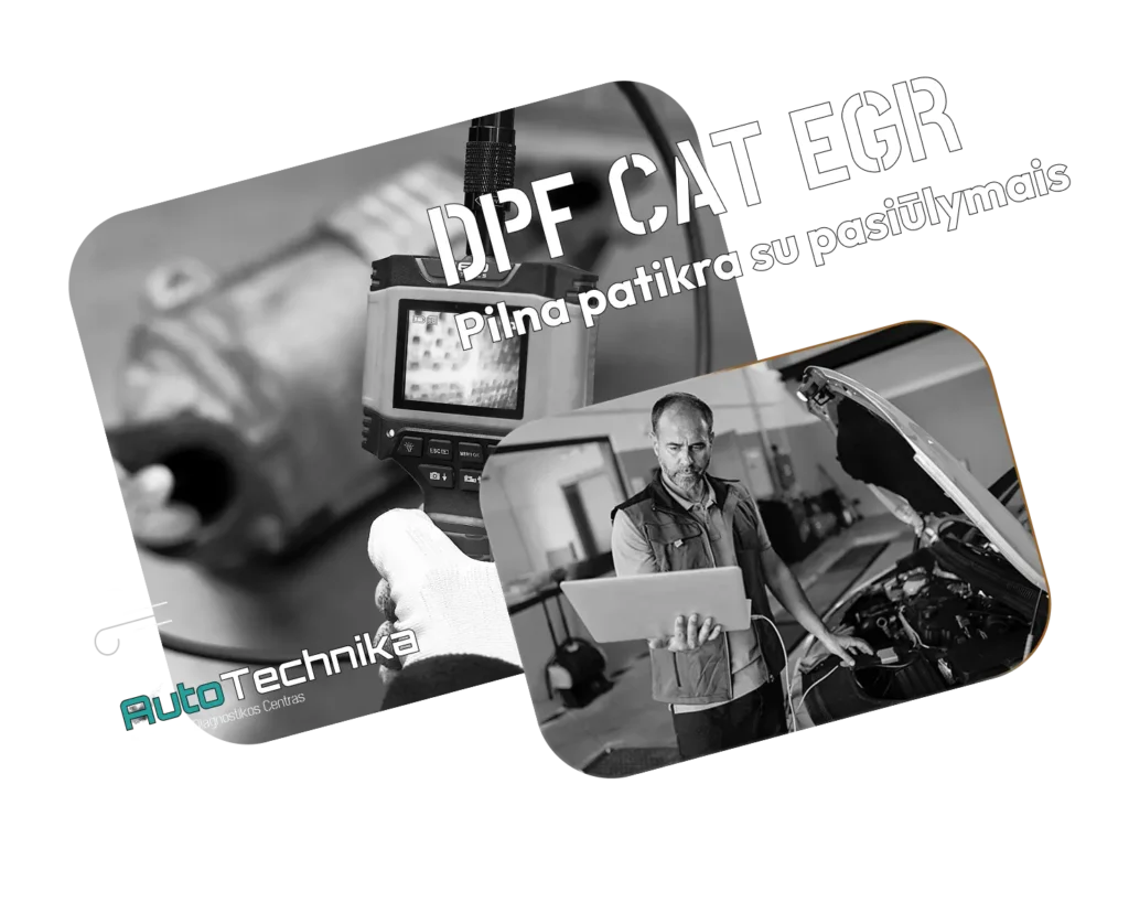dpf diagnostika kaune